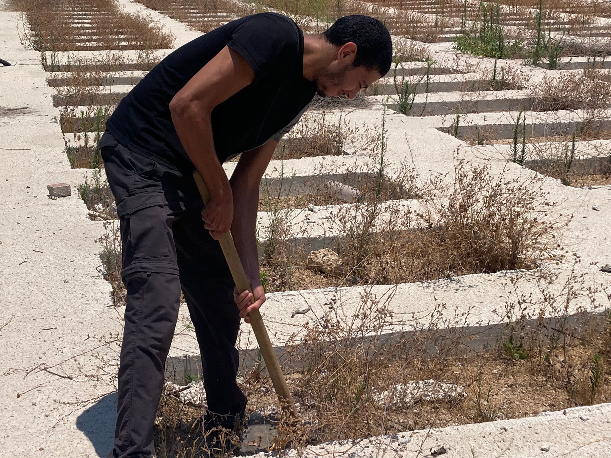 WhatsApp Image 2022-07-02 at 12.13.42 PM.jpeg